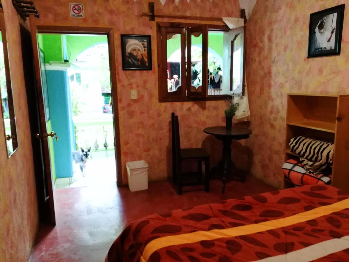 Iguana Hostel San Cristóbal de Las Casas Zewnętrze zdjęcie