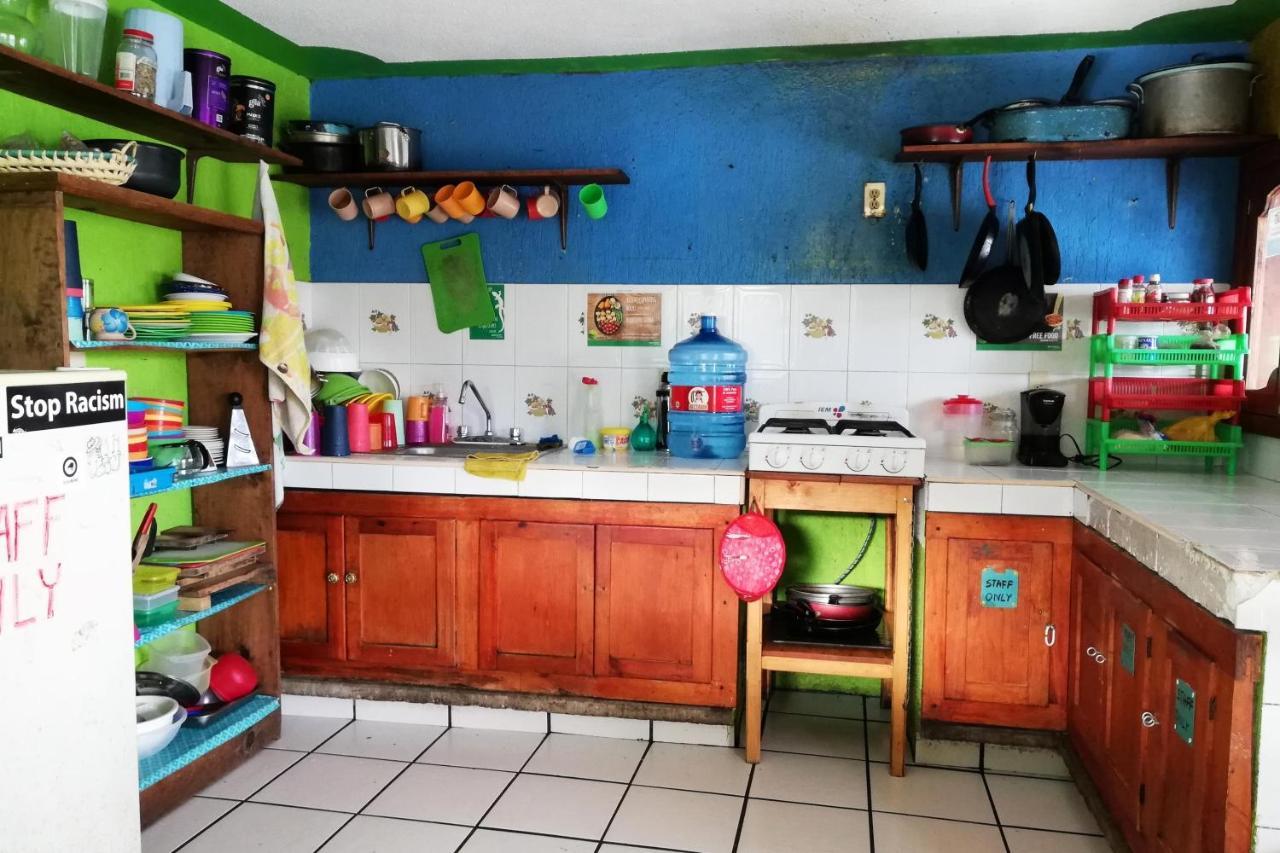 Iguana Hostel San Cristóbal de Las Casas Zewnętrze zdjęcie