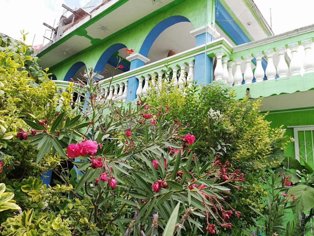 Iguana Hostel San Cristóbal de Las Casas Zewnętrze zdjęcie