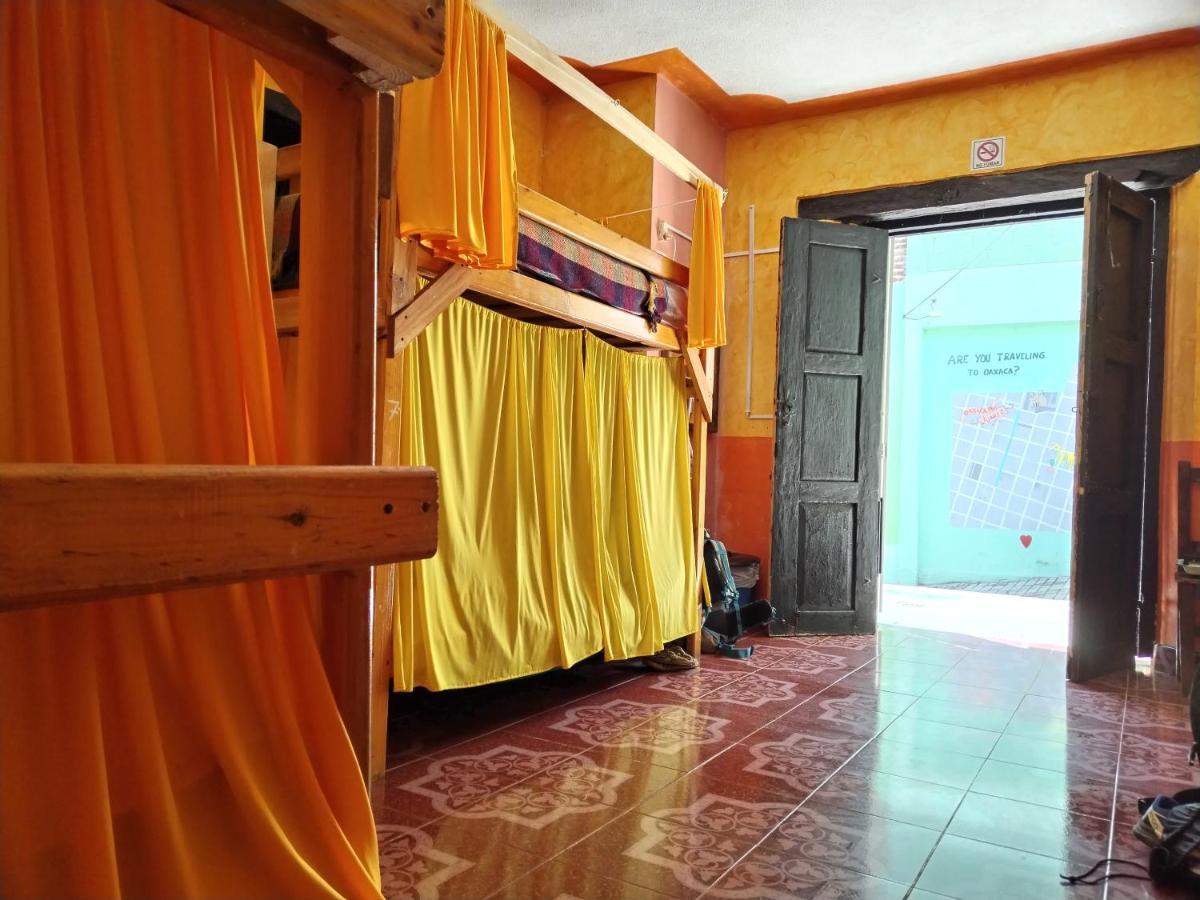 Iguana Hostel San Cristóbal de Las Casas Zewnętrze zdjęcie