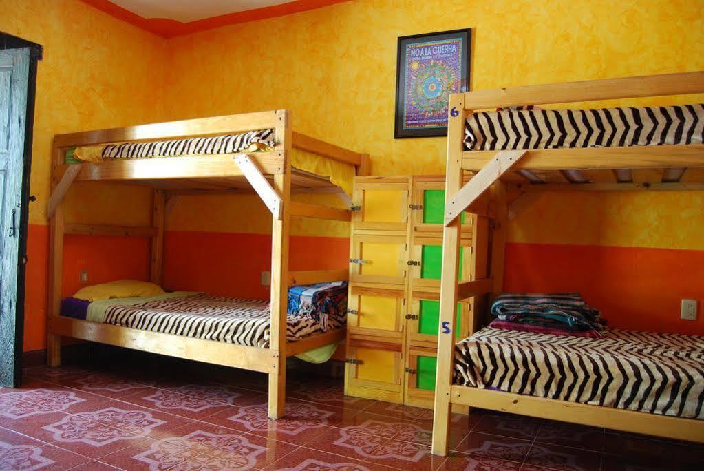 Iguana Hostel San Cristóbal de Las Casas Zewnętrze zdjęcie