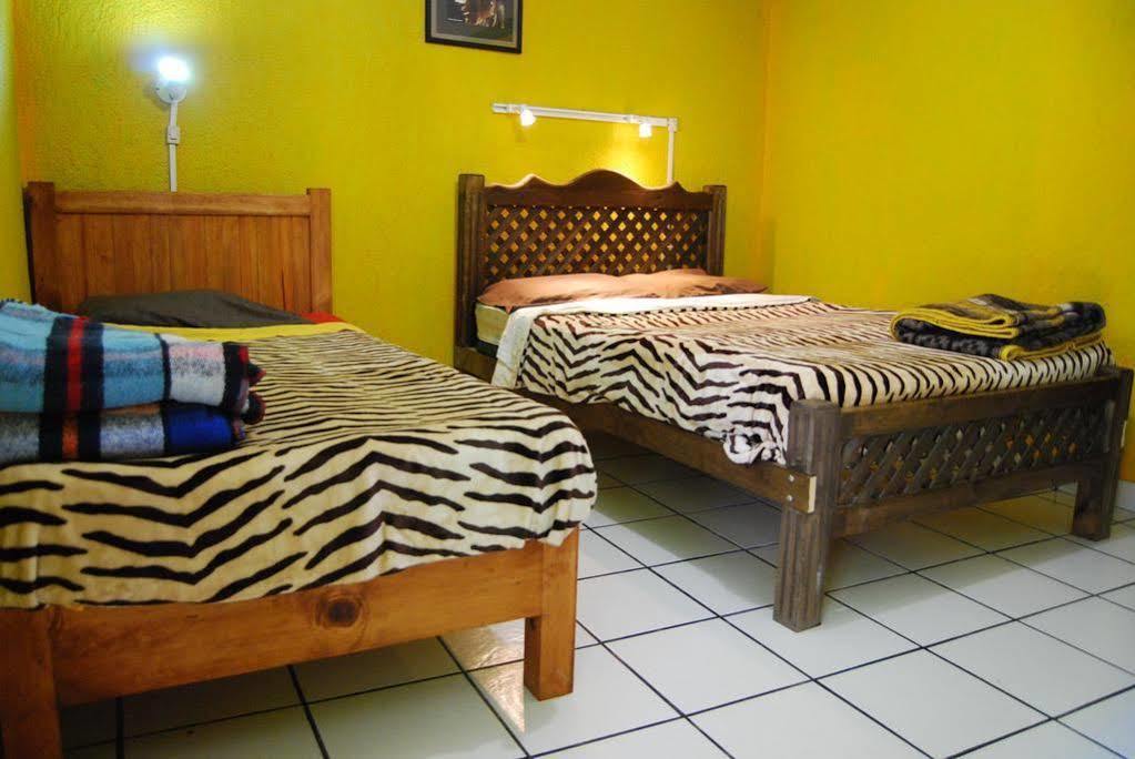 Iguana Hostel San Cristóbal de Las Casas Zewnętrze zdjęcie