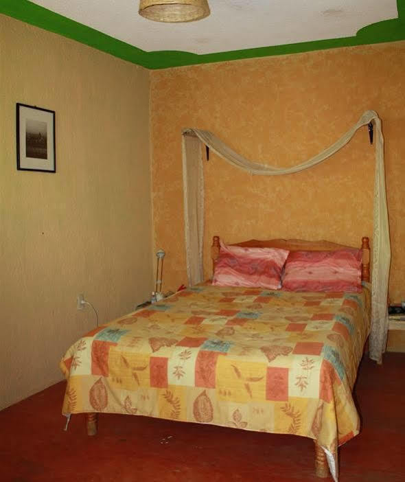 Iguana Hostel San Cristóbal de Las Casas Zewnętrze zdjęcie