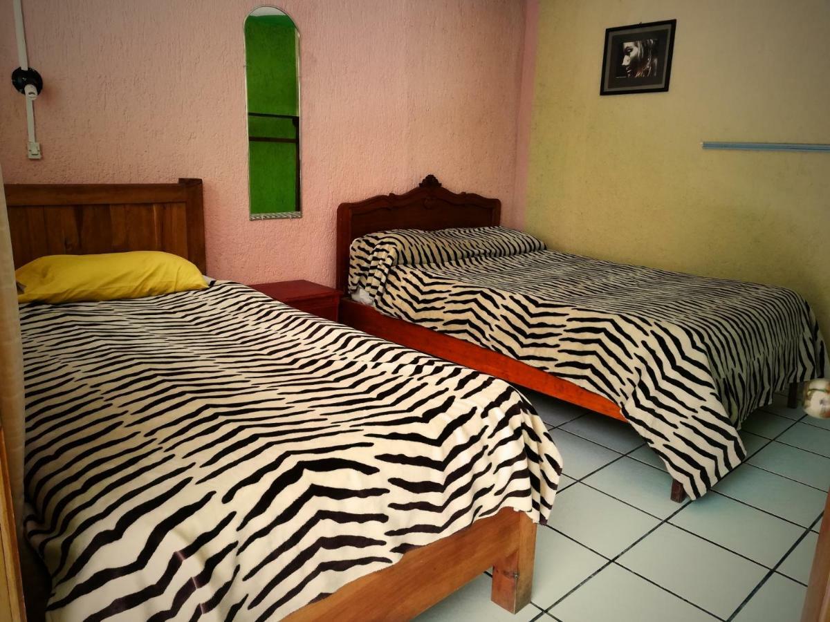 Iguana Hostel San Cristóbal de Las Casas Zewnętrze zdjęcie