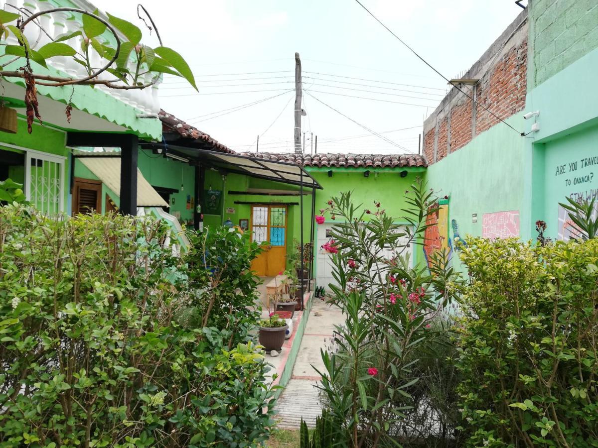 Iguana Hostel San Cristóbal de Las Casas Zewnętrze zdjęcie